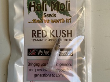 Vente: ON SALE NOW!!! 6 FEMINIZED RED KUSH AUTOFLOWER SEEDS