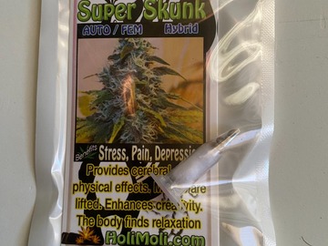 Vente: ON SALE NOW!!! 6 FEMINIZED SUPER SKUNK AUTOFLOWER SEEDS