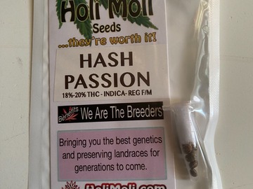 Vente: ON SALE NOW!!! 8 REGULAR MALE/FEMALE HASH PASSION SEEDS