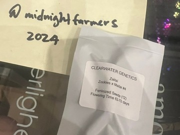 Venta: Clearwater Genetics - Zaitai (Zookies x Mai Tai)