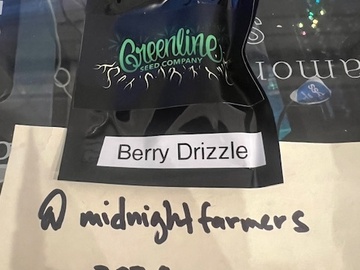 Vente: Greenline Seed Company - Berry Drizzle