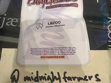 Vente: Envy Genetics – LBZOO (Zookies x BlowPops)