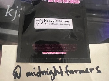 Vente: Envy Genetics – Heavy Breather (Sophie's Breath x Cali Sunset)