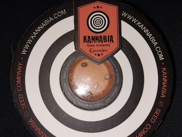Verkaufen: 3  T.  H.  C.  V fems by Kannabia