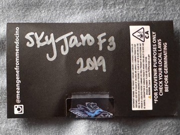 Verkaufen: Freeborn Selections - Sky Jaro F3 2019