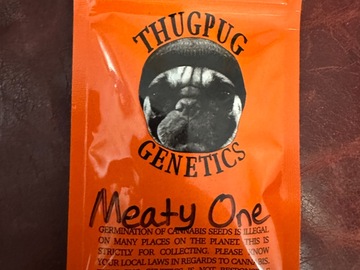 Vente: Thug Pug Meaty One