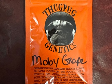 Vente: Thug Pug Moby Grape