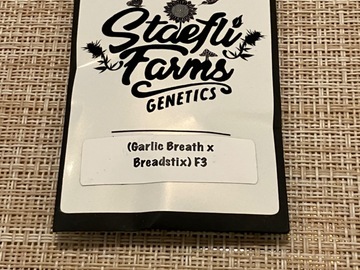 Verkaufen: Staefli Farms - Bread Winner F3