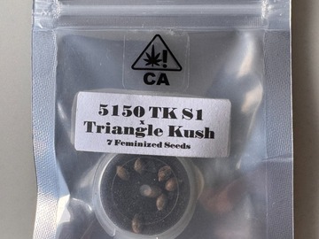 Verkaufen: CSI Humboldt - Crazy Crocs (5150 TK S1 x Triangle Kush)