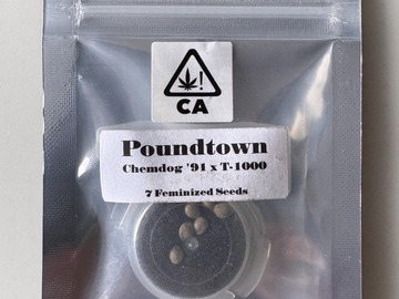 Verkaufen: CSI Humboldt - Pound Town (Chem 91 x T-1000)
