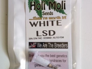 Vente: ON SALE! 6 FEMINIZED WHITE LSD AUTOFLOWER SEEDS