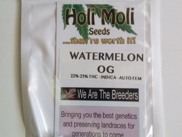 Vente: ON SALE! 6 FEMINIZED WATERMELON OG AUTO SEEDS