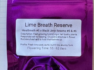 Vente: Eclectic Elegance - Lime Breath Reserve F1