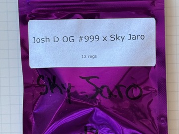 Sale: Eclectic Elegance - Josh D OG #999 x Sky Jaro