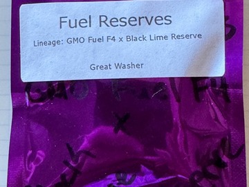 Vente: Eclectic Elegance - Fuel Reserves (GMO Fuel F4 x BLR)