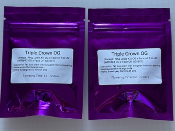 Vente: Eclectic Elegance - Triple Crown OG