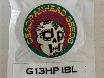 Vente: Deadpanhead - G-13HP IBL