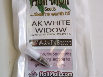 Verkaufen: 6 FEMINIZED AK WHITE WIDOW AUTOFLOWER SEEDS