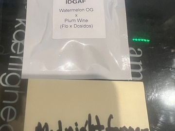 Verkaufen: Lit Farms - IDGAF (Watermelon OG x Plum Wine)