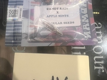 Sale: Tiki Madman - Candy Rain x Apple Mints