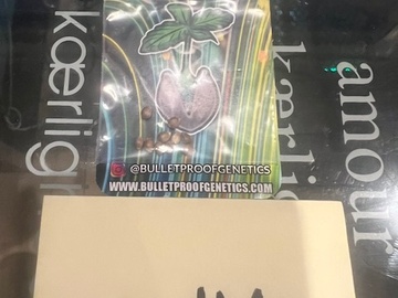 Venta: Bulletproof Genetics – Rocket Runtz