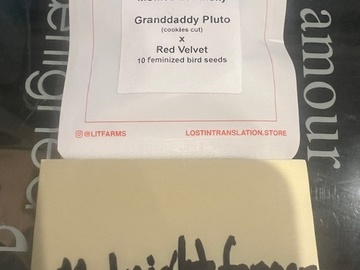 Verkaufen: Lit Farms - Granddaddy Pluto x Red Velvet
