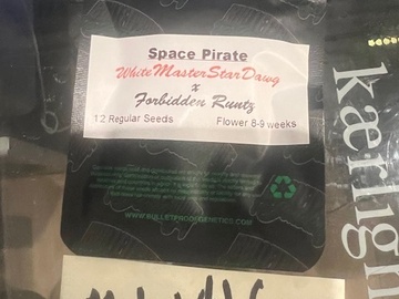 Verkaufen: Bulletproof Genetics – Space Pirate