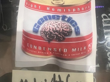 Verkaufen: Right Hemisphere Genetics - Condensed Milk