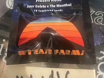 Verkaufen: Wyeast Farms - Frozen Rose RARE PACK
