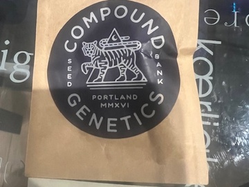 Verkaufen: Compound Genetics - Tiger Bomb RARE