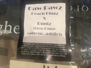 Verkaufen: Pheno Addicts - Pawz Pawz (Peach Ringz x Runtz)