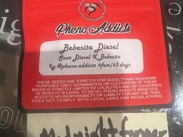 Verkaufen: Pheno Addicts - Bebesita Diesel