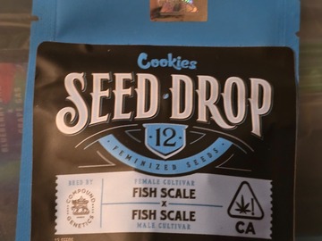 Vente: Compound Fish Scale