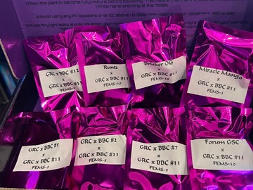 Venta: Square One Genetics Unreleased GRC x BBC#11 Box Set