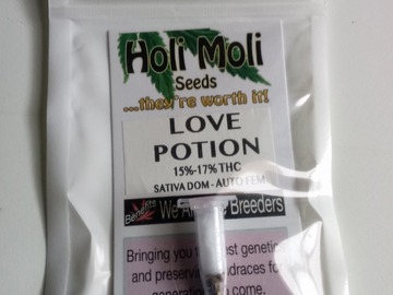 Venta: ON SALE NOW!! 6 FEMINIZED LOVE POTION AUTO SEEDS