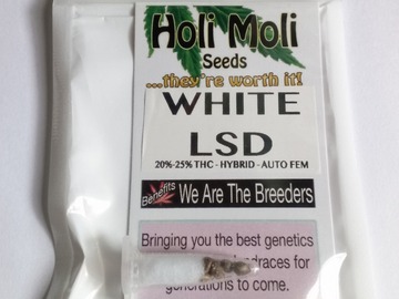 Venta: ON SALE NOW!! 6 FEMINIZED WHITE LSD AUTO SEEDS