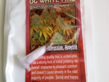 Verkaufen: ON SALE NOW!! 6 FEMINIZED OG WHITE FIRE SEEDS
