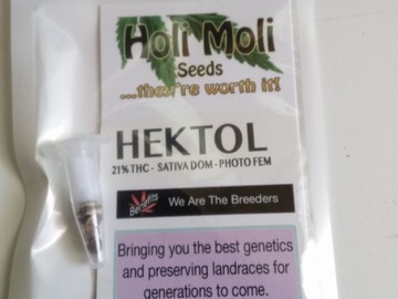 Verkaufen: ON SALE NOW!! 6 FEMINIZED HEKTOL SEEDS