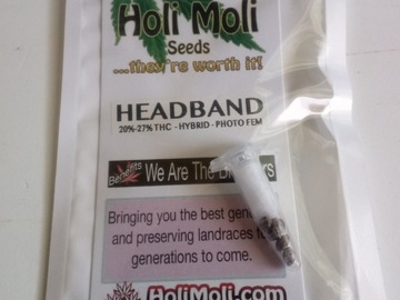 Verkaufen: ON SALE NOW!! 6 FEMINIZED HEADBAND SEEDS