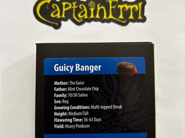Verkaufen: Exotic Genetix Guicy Banger