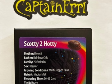 Verkaufen: Exotic Genetix Scotty 2 Hotty