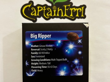 Verkaufen: Exotic Genetix Big Ripper