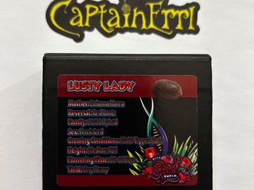 Sale: Exotic Genetix Lusty Lady