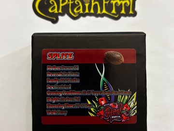 Sale: Exotic Genetix Splitz