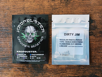 Vente: DIRTY JIM - 10+ SEEDS