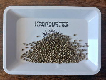 Vente: SHIT MIX - 50 SEEDS
