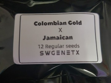 Auktion: Colombian Gold x Jamaican - Auction