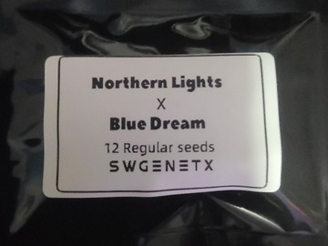 Auktion: Northern Lights x Blue Dream - Auction