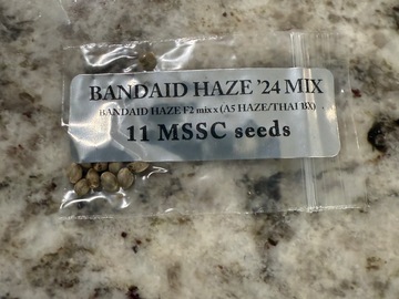 Sale: Bandaid Haze Mix by Doc D