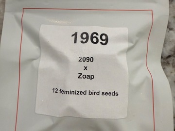 Sale: 1969 by LIT Farms